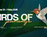 Birds of Paradise | DJ Talisman