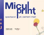 Micul Prinț - spectacol pentru oameni mari