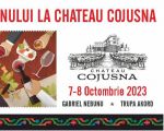 Wine Day at Chateau Cojusna