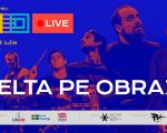 Concert live „Delta pe obraz”