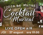 Cocktail Muzical la Epoca de Piatră