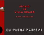 Vino Picnic cu Pasha Parfeni