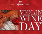 Violin Wine Day