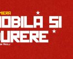 “Mobilă și Durere”