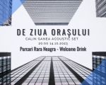 De Ziua Orașului by Purcari