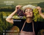 Harvest Party / Château Sobor