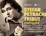 Ștefan Petrache Tribut - Unplugged