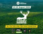 CODRU ULTRA TRAIL 100k