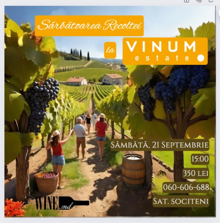 Sarbatoarea Strinsul Roadei by Vinum Estate