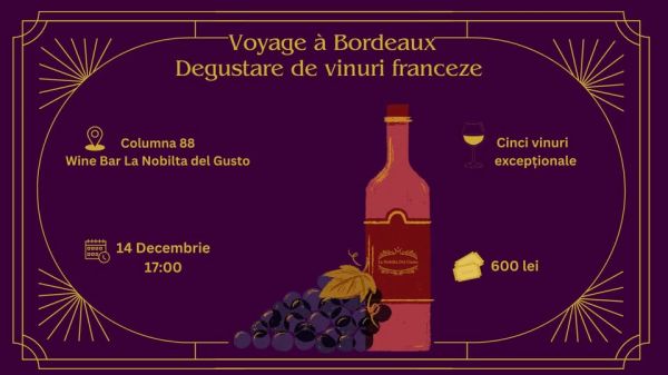 Voyage à Bordeaux: Degustarea de vinuri franceze