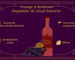 Voyage à Bordeaux: Degustarea de vinuri franceze