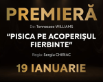 Pisica pe acoperișul FIERBINTE