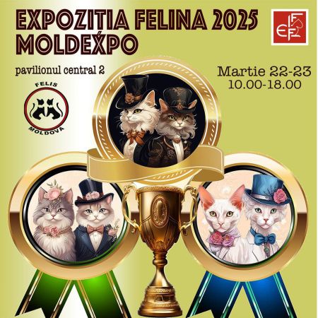 Expoziție Felina