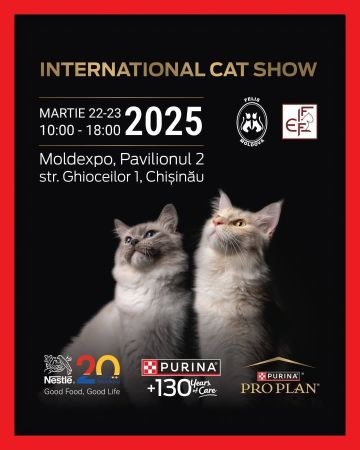 Expoziție Felina