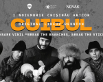 CUIBUL LIVE: LANSAREA ALBUMULUI BREAK THE BRANCHES, BREAK THE STICKS PE VINYL CUIBUL LIVE: LANSAREA ALBUMULUI BREAK THE BRANCHES, BREAK THE STICKS PE VINYL
