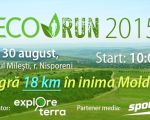 ECO Run 2015