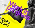 Ștefan Eșanu - Work in Progress