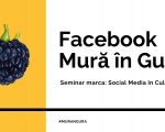 Facebook Mură în Gură